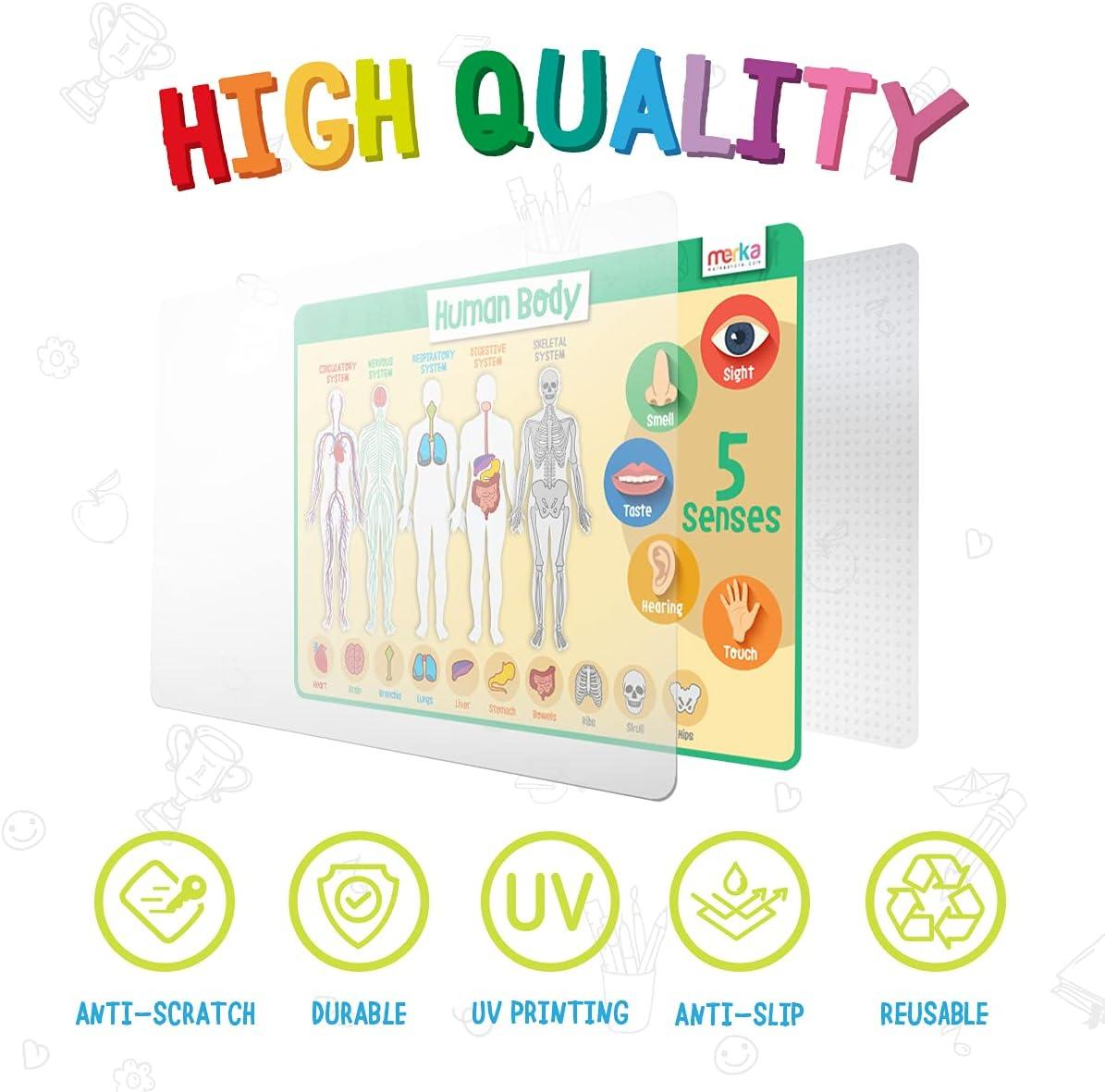 imagemerka Silicone Learning Placemats for Toddlers 4Pack 17 x 11 in Multicolor Reusable amp Washable Mealtime Mats with SpillResistant Backing Letters Numbers Shapes amp ColorsExplore